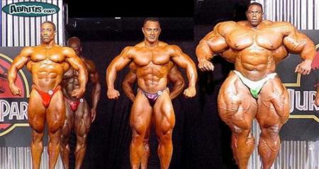 misters muscle
